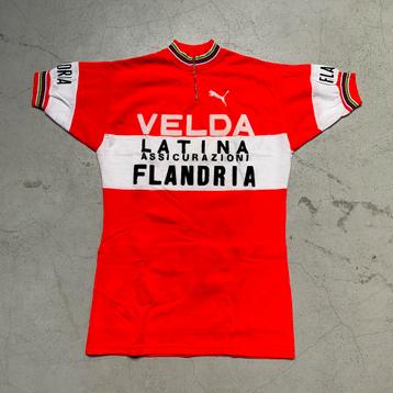 Flandria Velda Latina 1977 koerstrui wielertrui wol