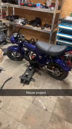 Dax/monkey project gezocht, Fietsen en Brommers, Ophalen, Zo goed als nieuw