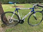racefiets, Gebruikt, Heren, 15 tot 20 versnellingen, 53 tot 57 cm