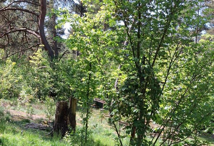 Chalet te koop, Immo, Résidences secondaires à vendre