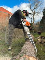 Jardinier élaguer abattage d’arbres, Enlèvement
