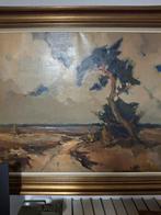 mooi groot heidelandschap, Antiek en Kunst, Ophalen