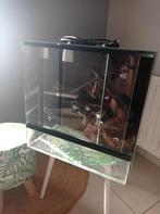Terrarium avec fond décor, Ophalen, Gebruikt, Terrarium of Paludarium