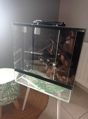 Terrarium avec fond décor  beschikbaar voor biedingen