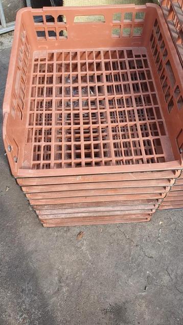 85 mand 2 euro per stuk  beschikbaar voor biedingen