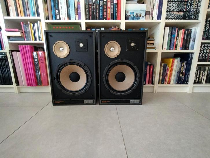 Krachtige Vintage Alcogi Luidsprekers, TV, Hi-fi & Vidéo, Enceintes, Enlèvement