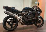 Triumph Daytona 955i à 33 000 km en 2004, Motos, Motos | Triumph, Plus de 35 kW, Super Sport, Particulier, 3 cylindres