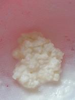 melkkefir roosjes, melkkefir starter, Diversen, Levensmiddelen, Ophalen
