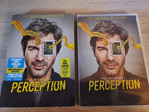Perception Seizoen 1, CD & DVD, DVD | TV & Séries télévisées, Enlèvement ou Envoi