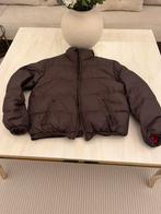 Tommy's jas, Ophalen, Maat 52/54 (L), Bruin, Tommy Hilfiger