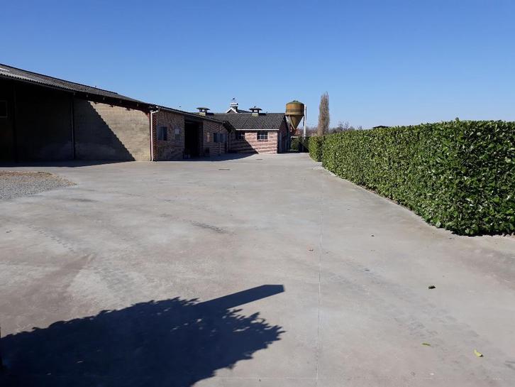 Familiale privestal heeft enkele boxen ter bischikking, Animaux & Accessoires, Box & Pâturages, Mise à l'étable, Pâturage