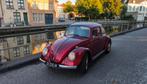 Ladybug 1500 1967, Particulier, Te koop, Beetle (Kever)