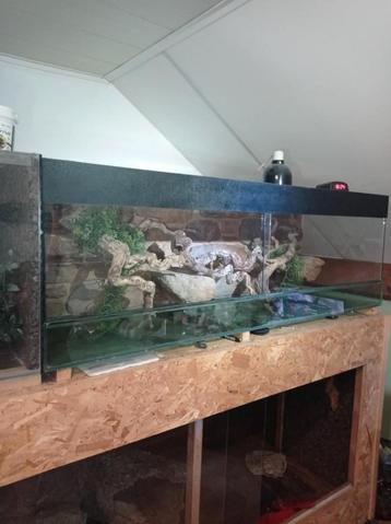 Grand terrarium 150x50x50  beschikbaar voor biedingen