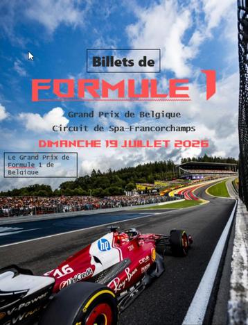 Billets pour la Formule 1 en Belgique le dimanche 19 juillet beschikbaar voor biedingen