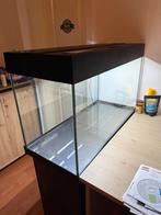 Juwel rio 125 aquarium (125L) met meubel, Dieren en Toebehoren, Ophalen, Zo goed als nieuw, Leeg aquarium