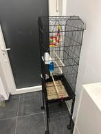 Cage perruche presque neuve, Animaux & Accessoires, Enlèvement, Comme neuf