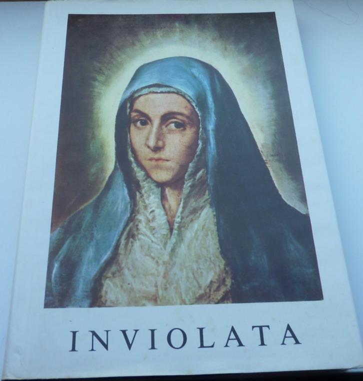 Inviolata, het gulden boek van Maria, Boeken, Godsdienst en Theologie, Ophalen of Verzenden