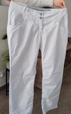 Stagebroek ( maat 40/42), Kleding | Dames, Broeken en Pantalons, Ophalen of Verzenden, Zo goed als nieuw, Maat 38/40 (M)