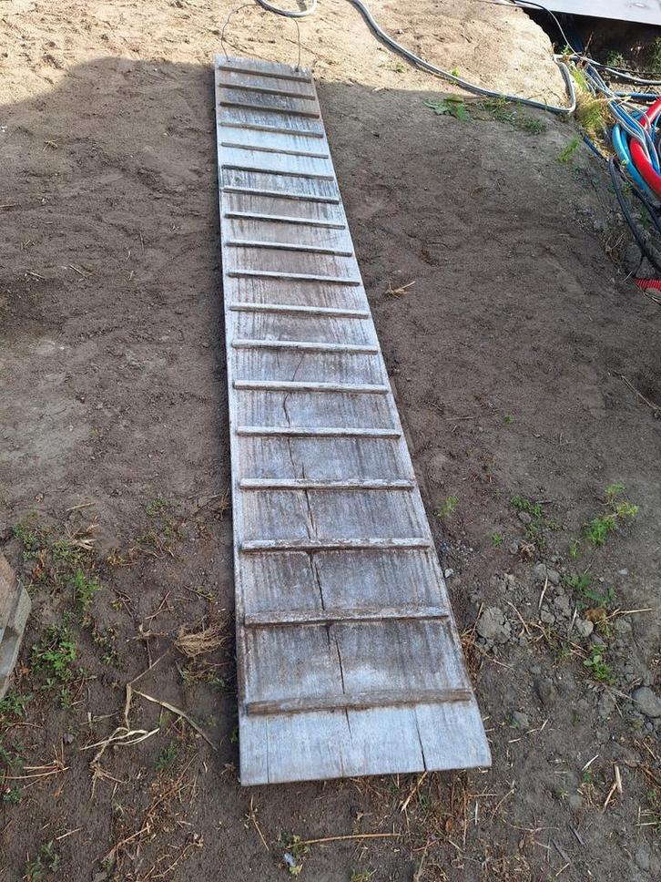 Passerelle pour animaux, Animaux & Accessoires, Rongeurs, Janvier