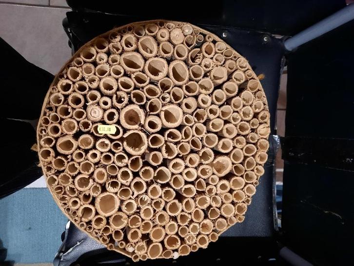 -bijenhotel, Tuin en Terras, Overige Tuin en Terras, Nieuw, Ophalen of Verzenden