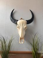 Skull, Huis en Inrichting, Ophalen, Zo goed als nieuw