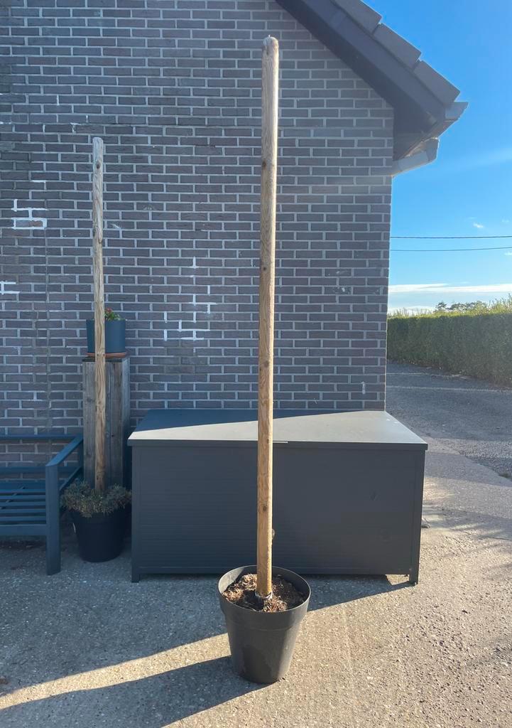 Bloempot met palen voor lichtjes, Tuin en Terras, Bloembakken en Plantenbakken, Zo goed als nieuw, Kunststof, Balkon, Tuin, 60 cm of meer