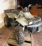 Polaris 325, Motoren