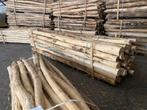 Robinia kastanje palen hekwerk kastanje poort div houtsoort, Met poort, Nieuw, Ophalen of Verzenden, Tuinhek