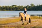 Top allround Welsh A sportpony met stamboek, Dieren en Toebehoren, Pony's, Merrie, Gechipt, Springpony, A pony (tot 1.17m)