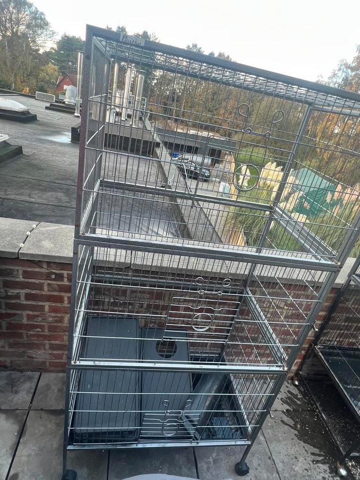 Knaagdieren kooi, Dieren en Toebehoren, Knaagdieren en Konijnen | Hokken en Kooien, Zo goed als nieuw, Kooi, 90 cm of meer, 75 tot 110 cm