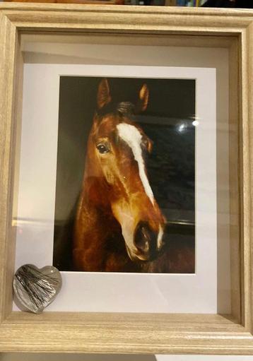 Herinneringskader met foto en haar beschikbaar voor biedingen