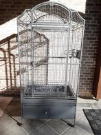 Papegaaikooi, Ophalen, Zo goed als nieuw, Metaal, Vogelkooi