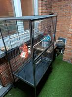 Grote vogelkooi, Ophalen