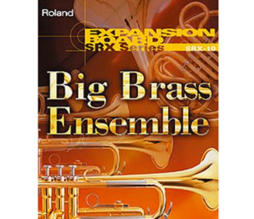 Roland SRX-10 Big Brass Ensemble expansion board, Muziek en Instrumenten, Synthesizers, Roland, Ophalen of Verzenden