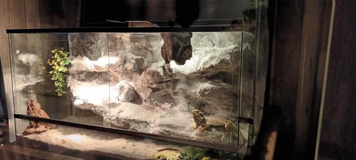 terrarium zo goed als nieuw, Dieren en Toebehoren, Reptielen en Amfibieën | Toebehoren, Ophalen