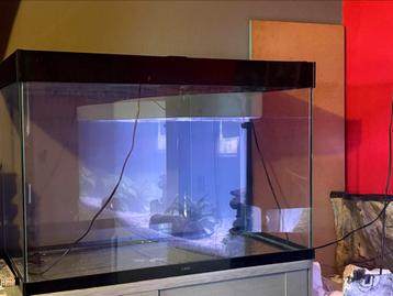 Aquarium te koop beschikbaar voor biedingen