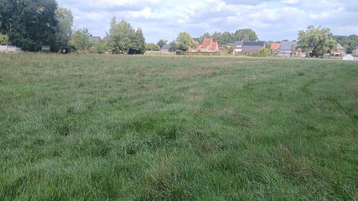 Grasland gezocht, Dieren en Toebehoren, Stalling en Weidegang