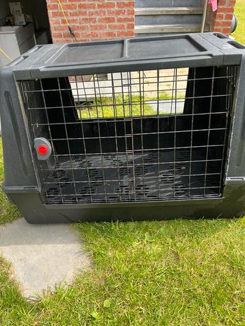 Cage de transport pour chien