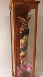 Vitrine kast boogschutter gilde, Ophalen