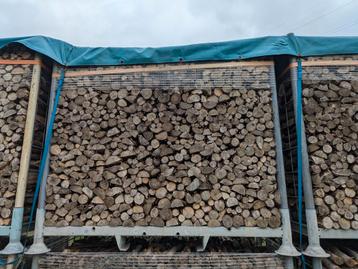 Droog brandhout beuk of kastanje beschikbaar voor biedingen