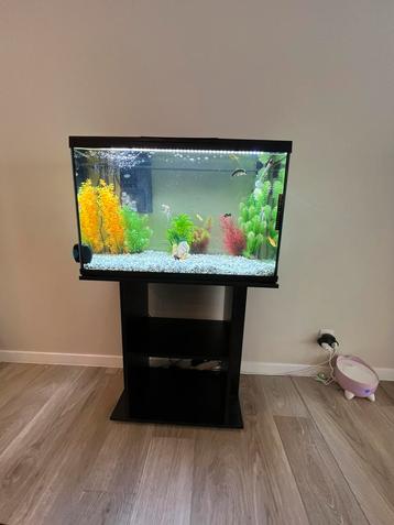 Aquarium beschikbaar voor biedingen