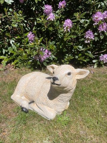 (Tuin)Beeld texel schaap lammetje, tuin, boerderij 55 cm beschikbaar voor biedingen