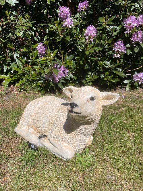 (Tuin)Beeld texel schaap lammetje, tuin, boerderij 55 cm, Tuin en Terras, Tuinbeelden, Nieuw, Dierenbeeld, Kunststof, Ophalen