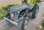 massey ferguson tef trekker / traktor / tractor, Zakelijke goederen, Niet ingevuld, Niet ingevuld, Niet ingevuld