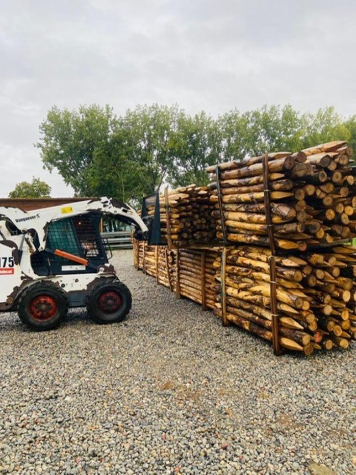 kastanje palen gepunt en ontschorst, Tuin en Terras, Palen, Balken en Planken, Palen, Ophalen of Verzenden