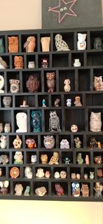 Collectie  uilen te koop, Enlèvement