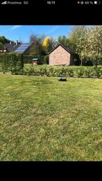 Nettoyage jardin, Jardin & Terrasse, Enlèvement ou Envoi