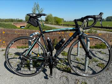 bianchi nirone 7, Enlèvement