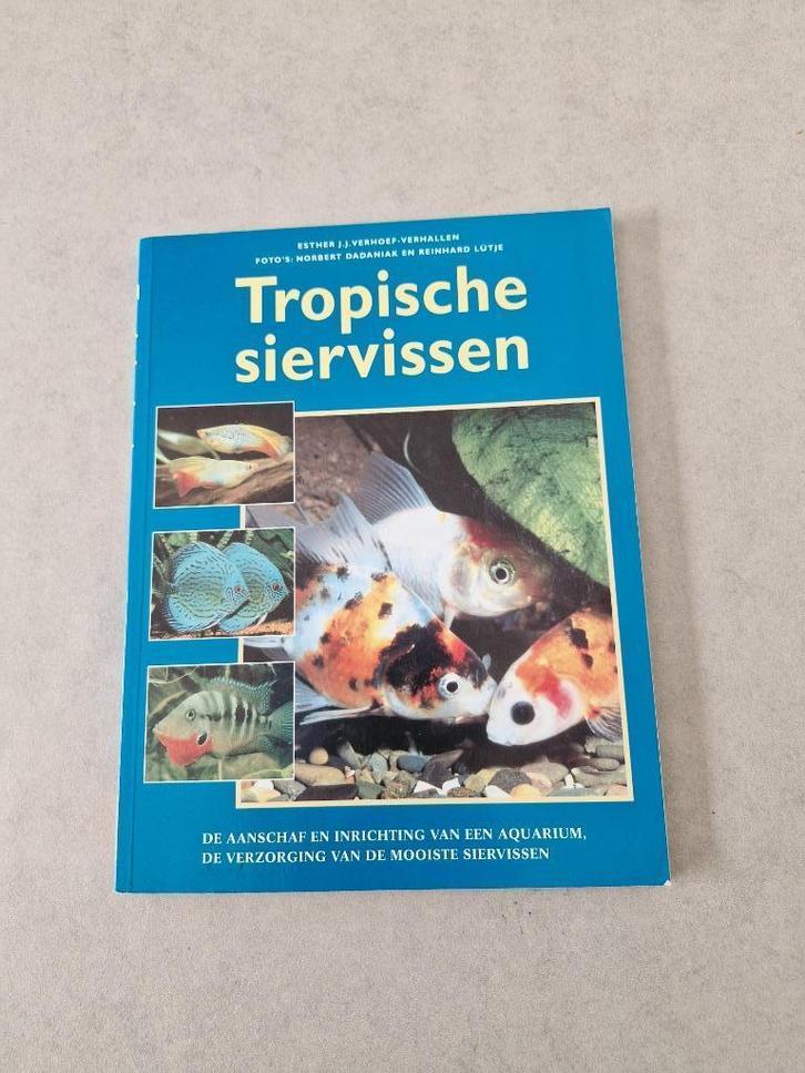 Tropische siervissen - Esther J.J. Verhoef - Verhallen, Boeken, Dieren en Huisdieren, Vissen, Ophalen of Verzenden