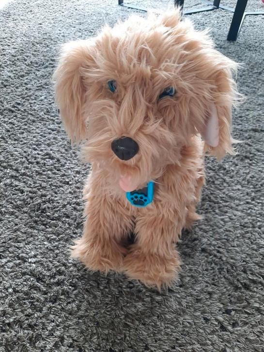 Moji labradoodle, Kinderen en Baby's, Speelgoed | Overig, Zo goed als nieuw, Ophalen of Verzenden